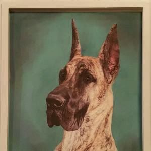 Meet your Posher, Barbara